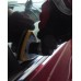 Low Profile Small Triangle Right Angle Orbital Spot Polisher/Sander Set with Muffler, 3800 Rpm, ISO 9001:2015 Certified/CE Compliant